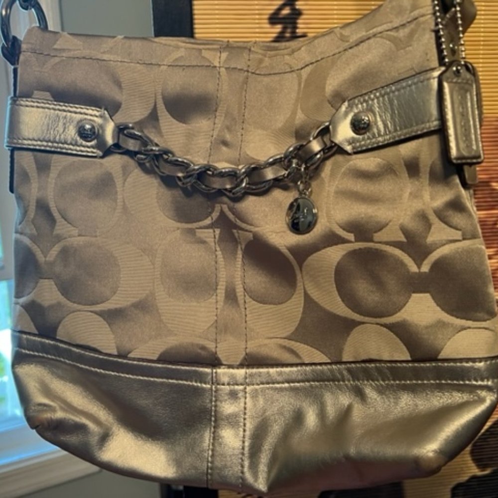 Silver Coach Crossbody Bag